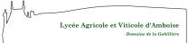image Amboise.jpg (0.3MB)