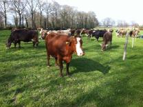 image IMG_6114.jpg (2.6MB)