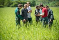 image triticale_bio_vesoul_eleves.jpg (2.0MB)