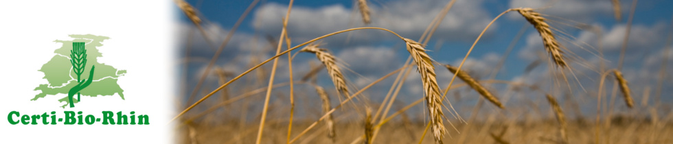 image imagebild_feld.jpg (72.4kB)
Lien vers: http://www.certi-bio-rhin.eu/