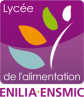 image logo_ENILIAENMSIC.png (19.0kB)
Lien vers: http://www.enilia-ensmic.fr/