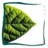 Vers le site de l'établissement
Lien vers: http://www.epl-charente.com/